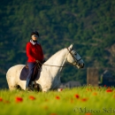 Maestoso Alea - Mai 2015