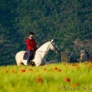 Maestoso Alea - Mai 2015