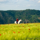 Maestoso Alea - Mai 2015