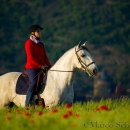 Maestoso Alea - Mai 2015
