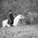 Maestoso Alea - Mai 2015