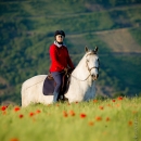 Maestoso Alea - Mai 2015