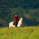 Maestoso Alea - Mai 2015