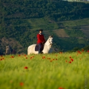 Maestoso Alea - Mai 2015