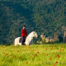 Maestoso Alea - Mai 2015