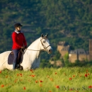Maestoso Alea - Mai 2015