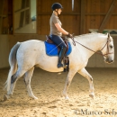 Ruth Giffels Reitkurs - August 2015