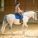 Ruth Giffels Reitkurs - August 2015