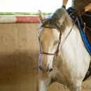 Ruth Giffels Reitkurs - August 2015