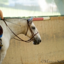 Ruth Giffels Reitkurs - August 2015