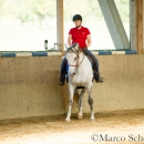 Ruth Giffels Reitkurs - August 2015
