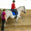 Ruth Giffels Reitkurs - August 2015