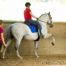 Ruth Giffels Reitkurs - August 2015