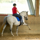 Ruth Giffels Reitkurs - August 2015
