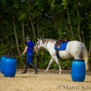 Barockes Reiten mit Richard Hinrichs