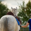 Barockes Reiten mit Richard Hinrichs