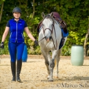 Barockes Reiten mit Richard Hinrichs