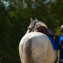 Barockes Reiten mit Richard Hinrichs