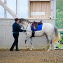 Barockes Reiten mit Richard Hinrichs