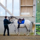 Barockes Reiten mit Richard Hinrichs