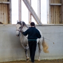Barockes Reiten mit Richard Hinrichs