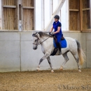 Barockes Reiten mit Richard Hinrichs