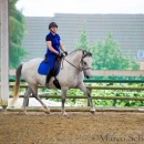 Barockes Reiten mit Richard Hinrichs