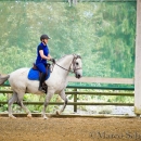 Barockes Reiten mit Richard Hinrichs