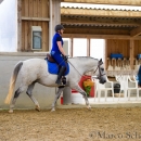 Barockes Reiten mit Richard Hinrichs