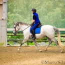 Barockes Reiten mit Richard Hinrichs