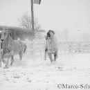 Schneegestöber 2016