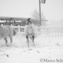 Schneegestöber 2016