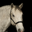 M.Alea - This Charming Man