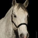 M.Alea - This Charming Man