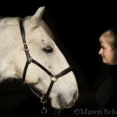 M.Alea - This Charming Man