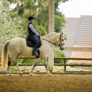 Reitkurs mit Richard Hinrichs