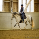 Reitkurs mit Richard Hinrichs