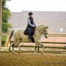 Reitkurs mit Richard Hinrichs