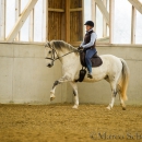 Reitkurs mit Richard Hinrichs