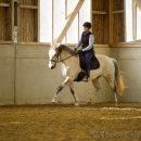 Reitkurs mit Richard Hinrichs