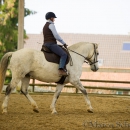 Reitkurs mit Richard Hinrichs