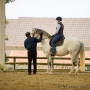 Reitkurs mit Richard Hinrichs