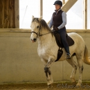 Reitkurs mit Richard Hinrichs