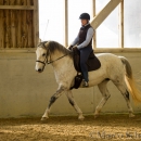 Reitkurs mit Richard Hinrichs