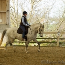 Reitkurs mit Richard Hinrichs