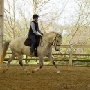 Reitkurs mit Richard Hinrichs