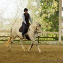 Reitkurs mit Richard Hinrichs