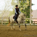 Reitkurs mit Richard Hinrichs
