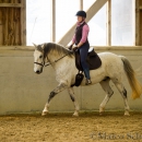 Reitkurs mit Richard Hinrichs