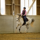 Reitkurs mit Richard Hinrichs